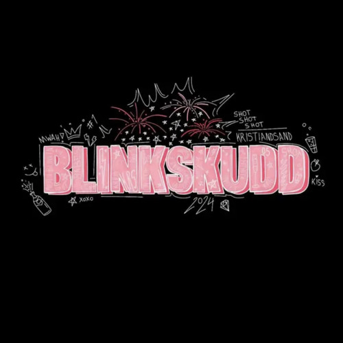Blinkskudd 24