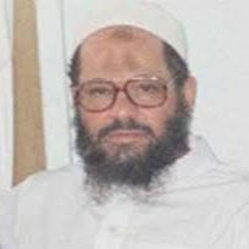 الشيخ المحدث محمد عمرو عبد اللطيف، رحمه الله تعالى