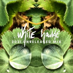 2021 Unreleased mix