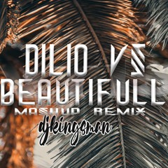 Dilio x Beautifully x United Tunez (Mashup)