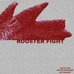 ROOSTER FIGHT