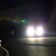Rbnt紫大根 - 333