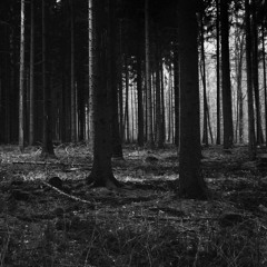 Industrial mrdy z nudy