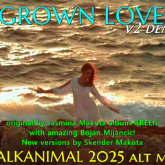 GROWN LOVE - Jasmina & Skender Makota v2 "da MESSY LIFE" mix demo