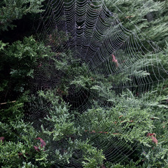 nauka oddychania~329th breath~not all empty spaces need to be filled