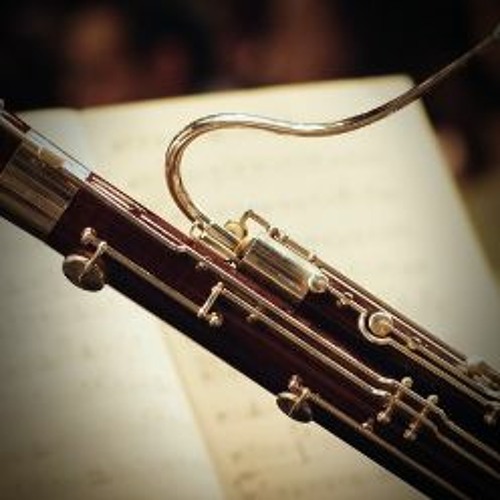 Stream Imaginando Listen to FRMS 'Sounds Of Bassoon' Preset Pack