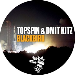 Blackbird (Original Mix)