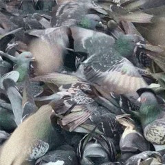 Uncs - Tell Me Why (rahhh Edit)