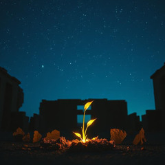 Una nuova vita (Remix)