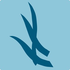 La respiration carrée : variations