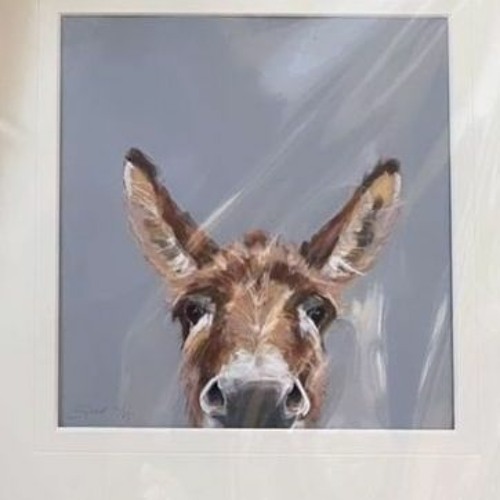 Donkeyschön
