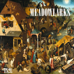 Meadowlarks (in the style of Fleet Foxes)