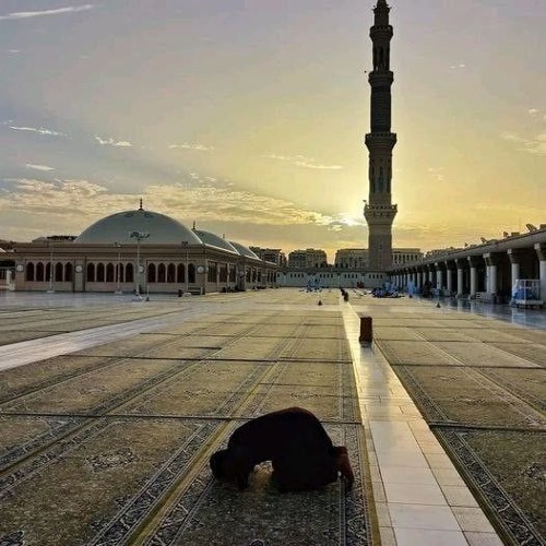 حَتّى إِذا جاءَ أَحَدَهُمُ المَوتُ قالَ رَبِّ ارجِعونِ | ش.وليد السعيد