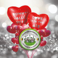 SiedlerFaschingsSong