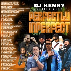 DJ KENNY PERFECTLY INPERFECT DANCEHALL MIXFIX 2024