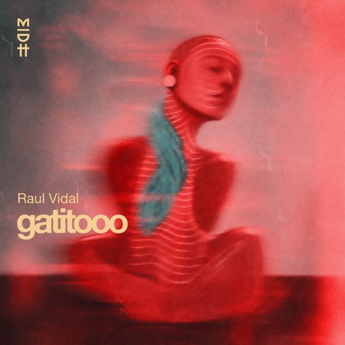 Raul Vidal - Gatitooo