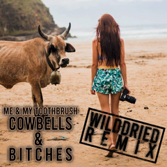 Me & My Toothbrush - Cowbells & Bitches (Wilddried Bootleg)