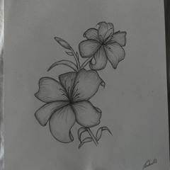 30min