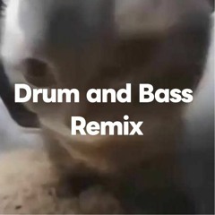 DUBIDUBIDU [Drum and Bass remix]