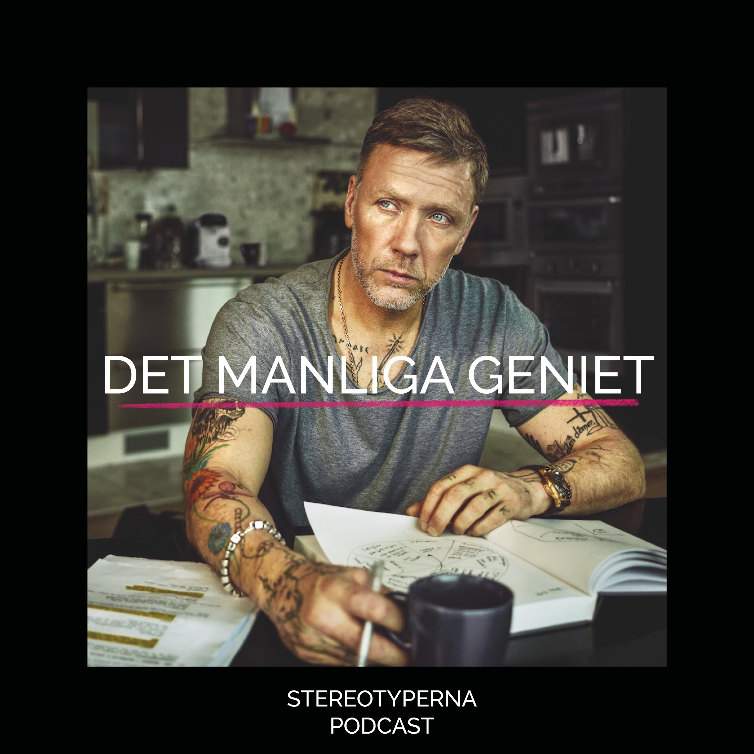 Stereotyperna