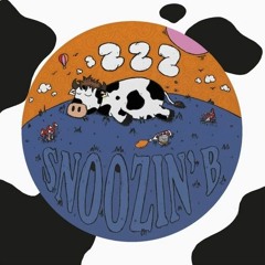 Premiere: A2 - Snoozin' B - Th B Is For Bass [ZZZ01]