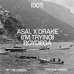 Boydega - asal x drake (im trying)