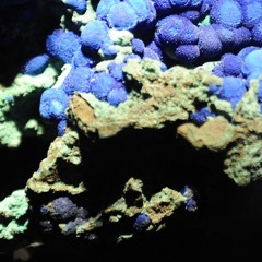 Azurite