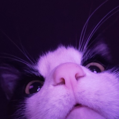 Cryogenic vs Jealousy is a MF HOPPA [Youi's ENDSHOW MASHUP]