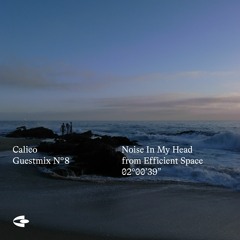 Calico Guestmix 008 - Noise In My Head