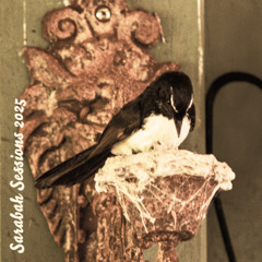 Ballroom Floor (Demo) - Jack Clasby