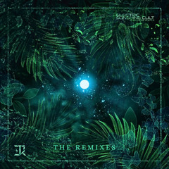 JRokStorm - Beyond The Leaves (Excells Remix)