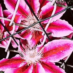 Reconnect ft. Naz AG