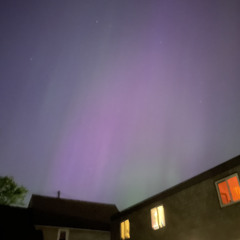 Mountain Babies - Northern Lights