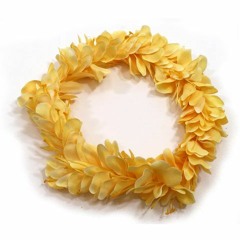 My Yellow Ginger Lei - Full in the style of Hui Ohana