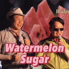 한사랑산악회-Watermelon Sugar(원곡 Harry Styles)