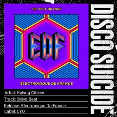 Kalyug Citizen - Shiva Beat (Electronique De France) [LYO]