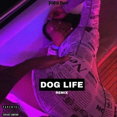 Koko Bwa - DOG LIFE REMIX ( PROD LITTLEBOY DOG LIFE RIDDIM )