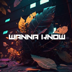 Mc Grizz - Wanna Know