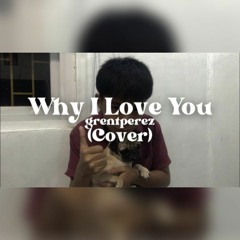 Why I Love You (Cover) feat. Mr Nice Guitar