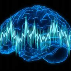 Electro ( Keuspo-F.gen-Veuy )