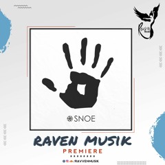 PREMIERE: Roy Rosenfeld - Momentum (Original Mix) [SNOE]