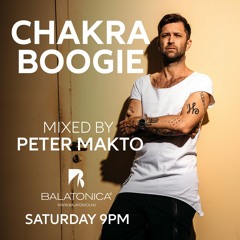 Peter Makto - Chakra Boogie 20