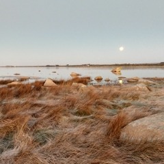 Winter Sunrise Soundscape on the Wexford Coastline