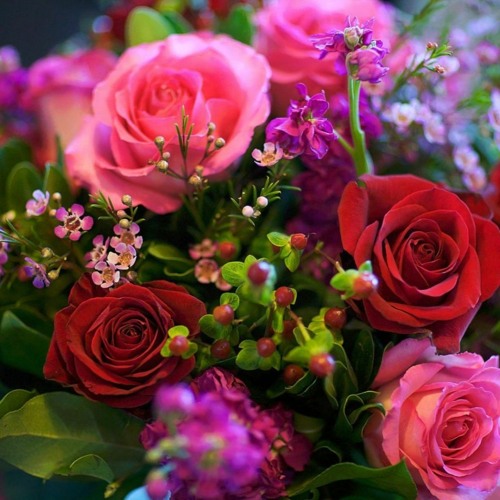 845 Flower Background Music Download Pics My