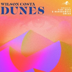 03 Wilson Costa - Dunes (Tidy Daps Dub)