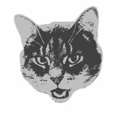 Tony Flies (On Mount Shit)