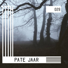 11TH Podcast 029 Pate Jaar [2021 Year Record for 11th]