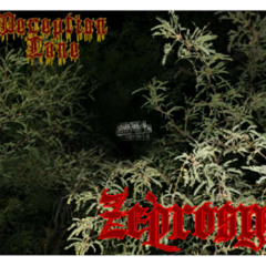 Scamerican lust