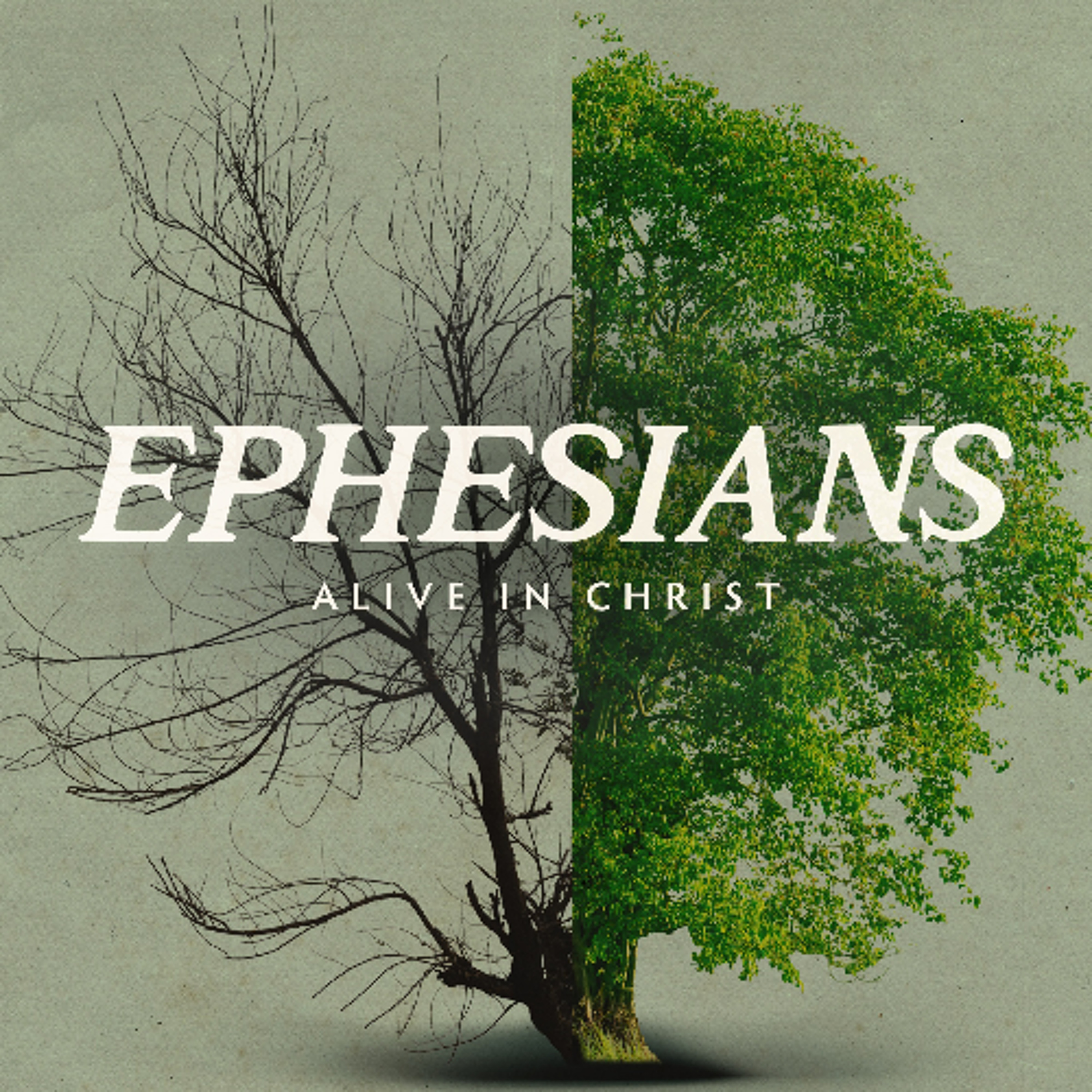 Bless Him Because He Chooses Us | Lee Eric Fesko | June 1, 2025