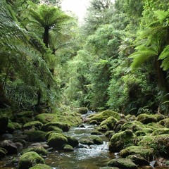 Her Autumn Breeze (Ft Nikau Te Huki)